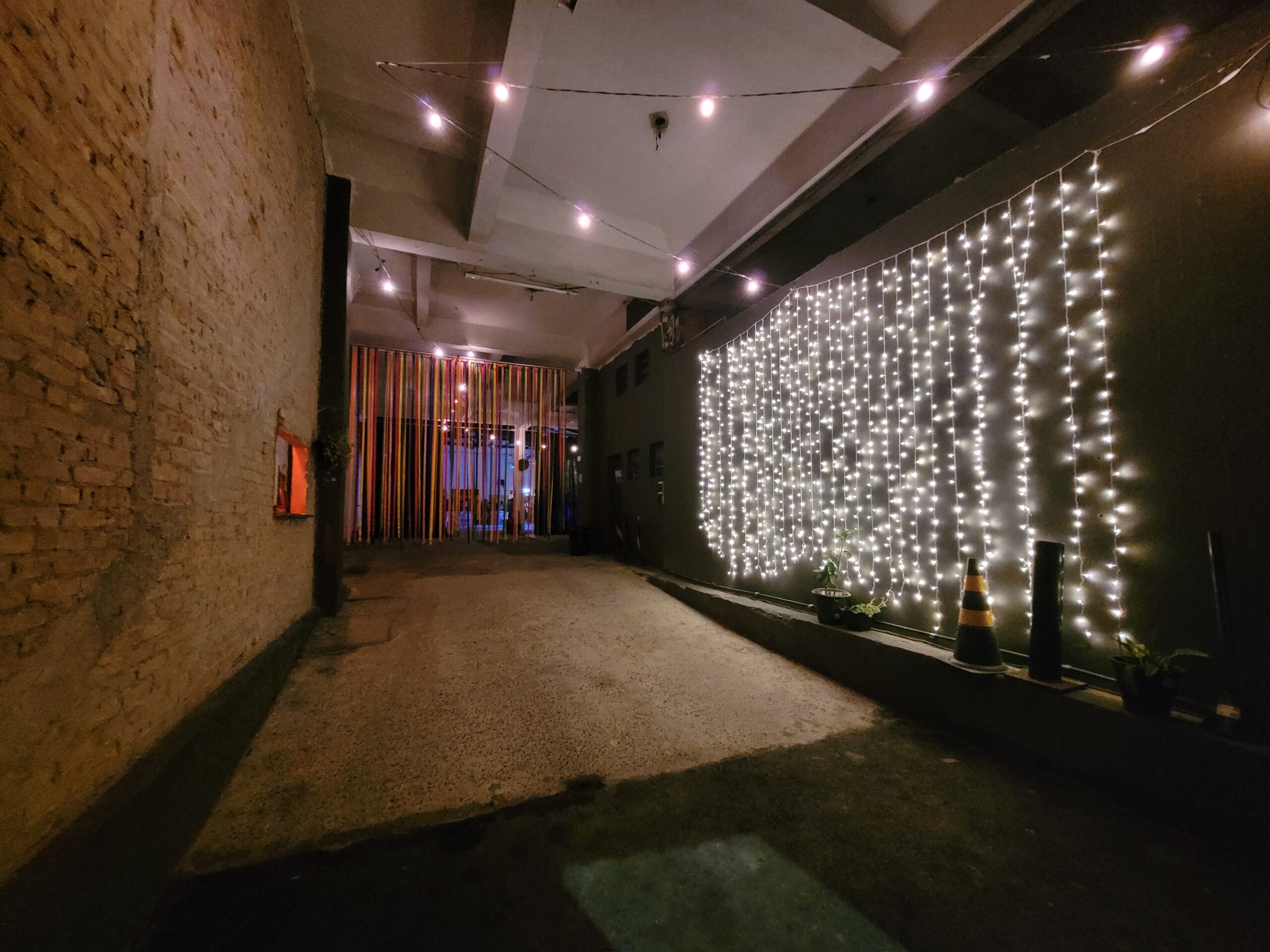 Luisa Furtado 2023 2