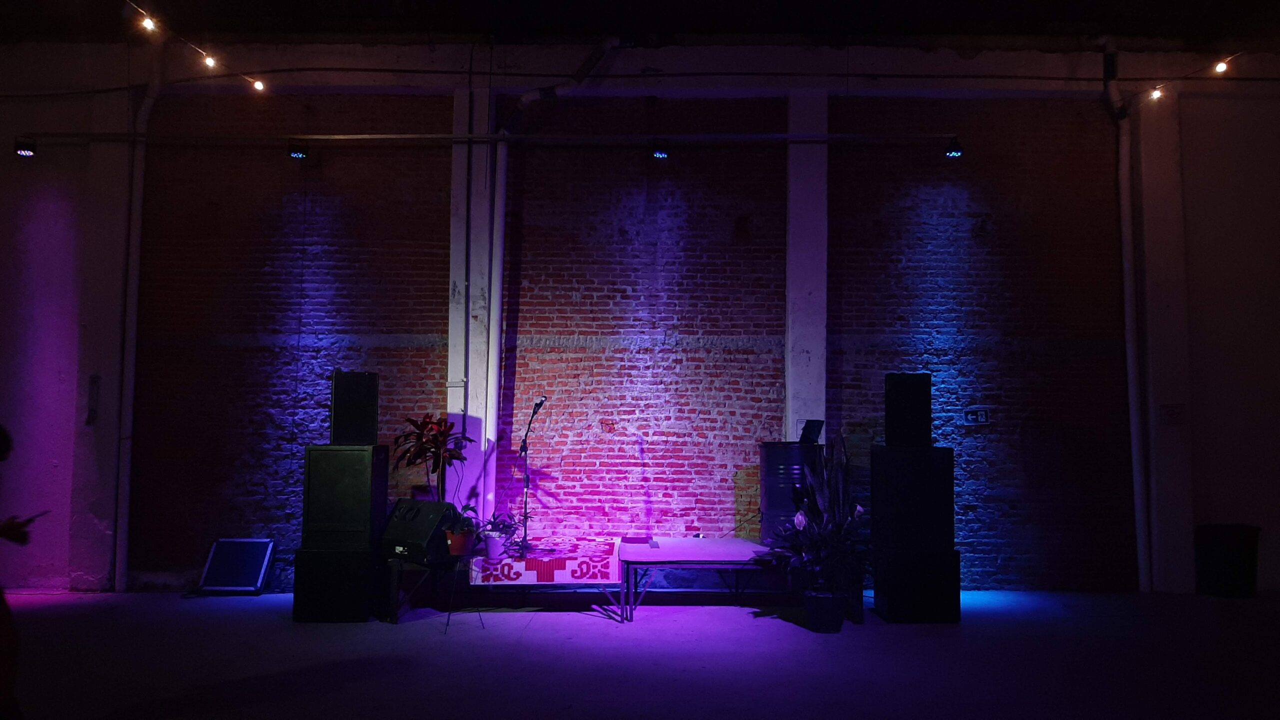 Luisa Furtado 2023 4